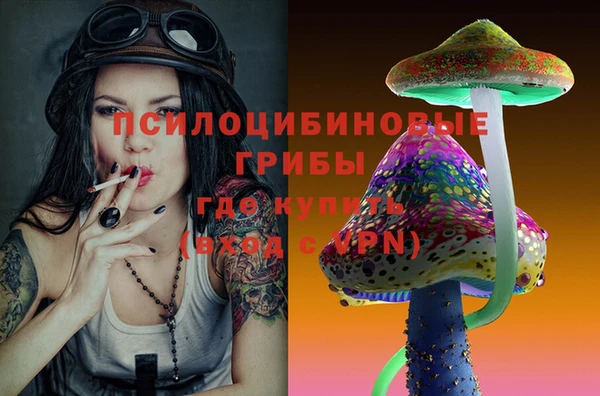 соль ск Абдулино
