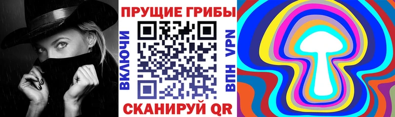 Галлюциногенные грибы ЛСД  Нестеров 